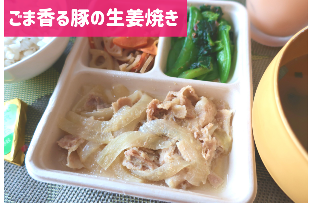 DELIPICKS(デリピックス)生姜焼き