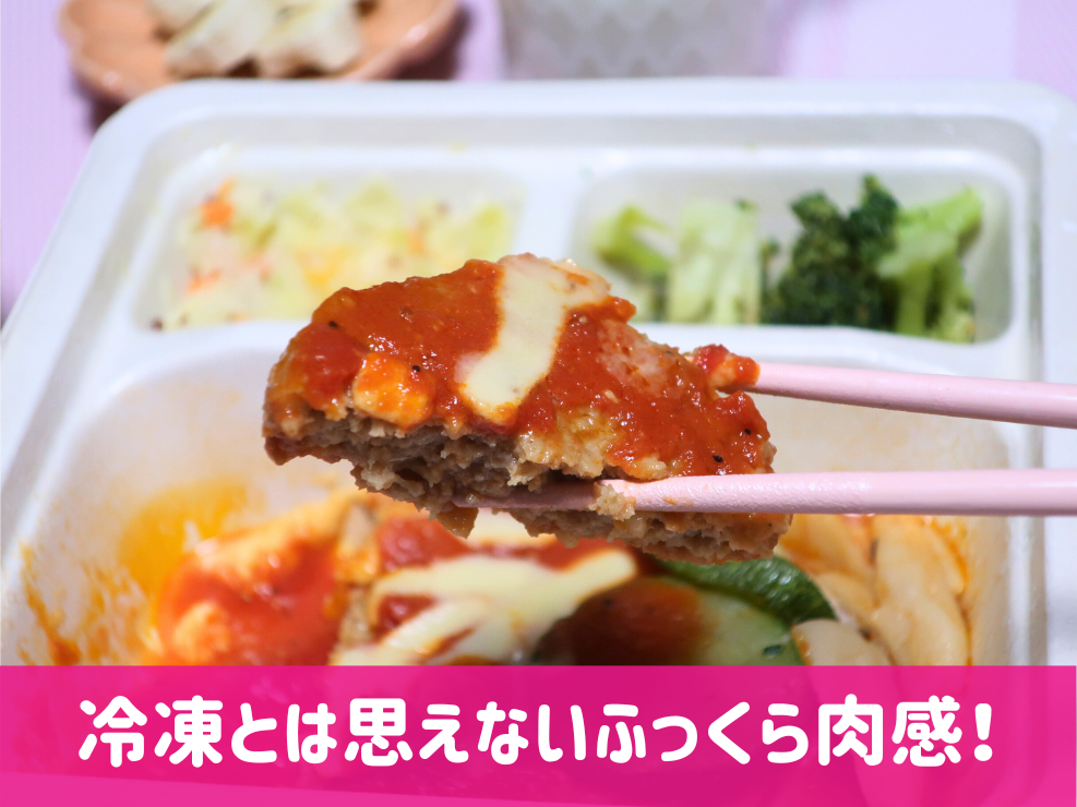 三ツ星ファームハンバーグ２